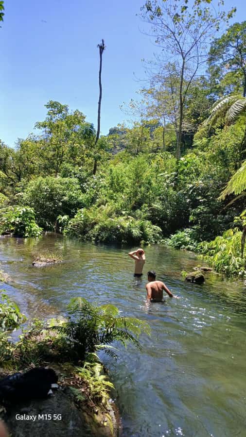 Munduk Jungle Trek to Banyumala & Pucak Manik – Private - Price And Value: What $33 Buys In Real Terms
