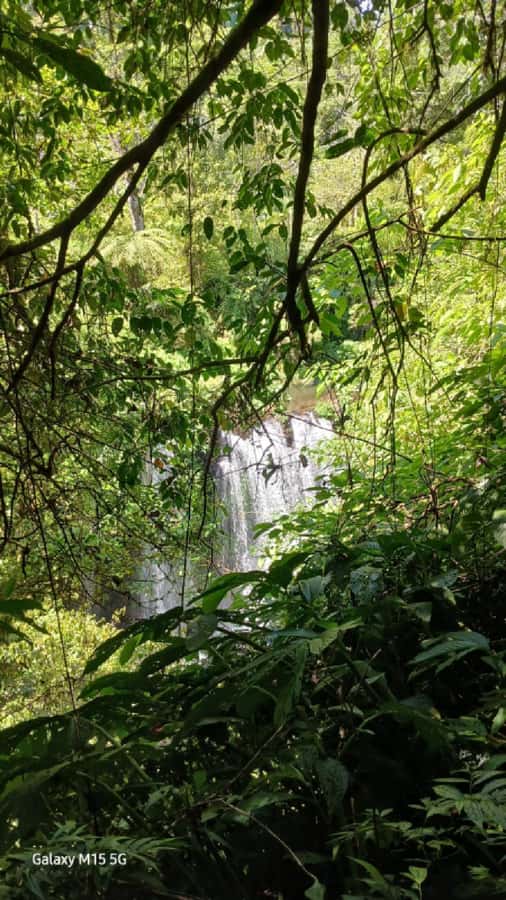Munduk Jungle Trek to Banyumala & Pucak Manik – Private - Your Real-World Checklist For This Humid Hike