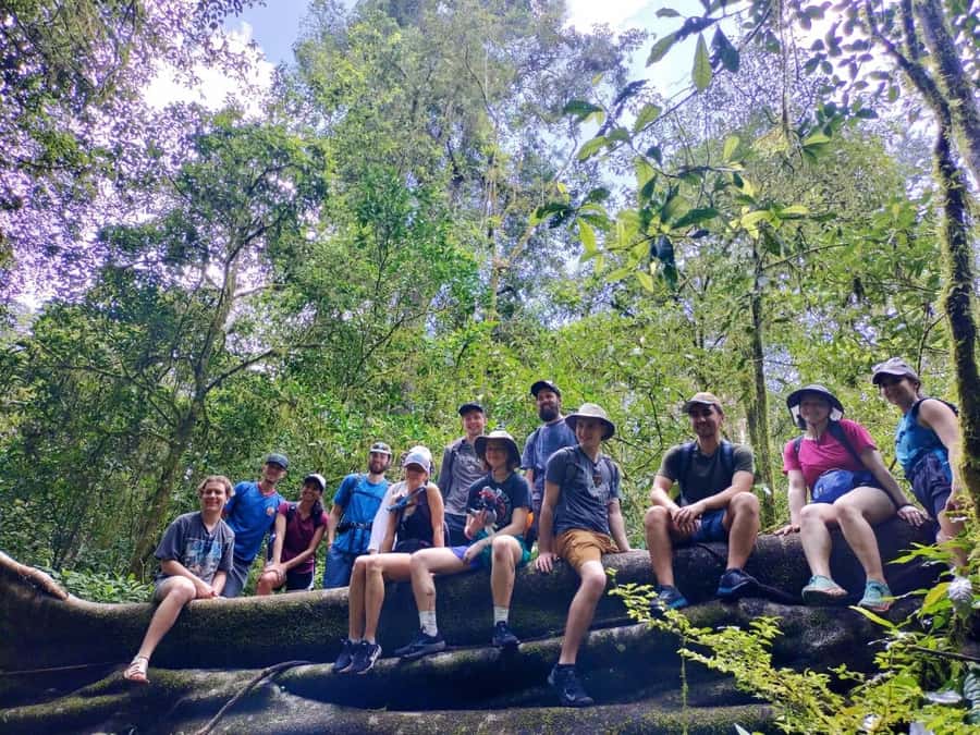 Munduk : Jungle Trekking,Canoeing,waterfall &authentic lunch - A Half-Day That Mixes Jungle, Lakes, Temples, and Waterfall