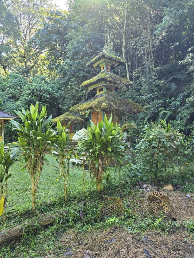 Munduk: Twin Lakes Jungle Hike with Lake Canoe and Waterfall - Is this tour for you? My straight answer
