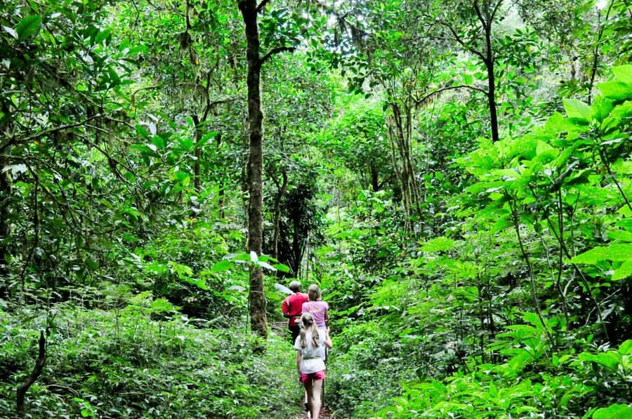 Munduk: Twin Lakes Jungle Hike with Lake Canoe and Waterfall - Pura Ulun Danu Tamblingan and Pura Dalem Tamblingan: temples you reach on foot