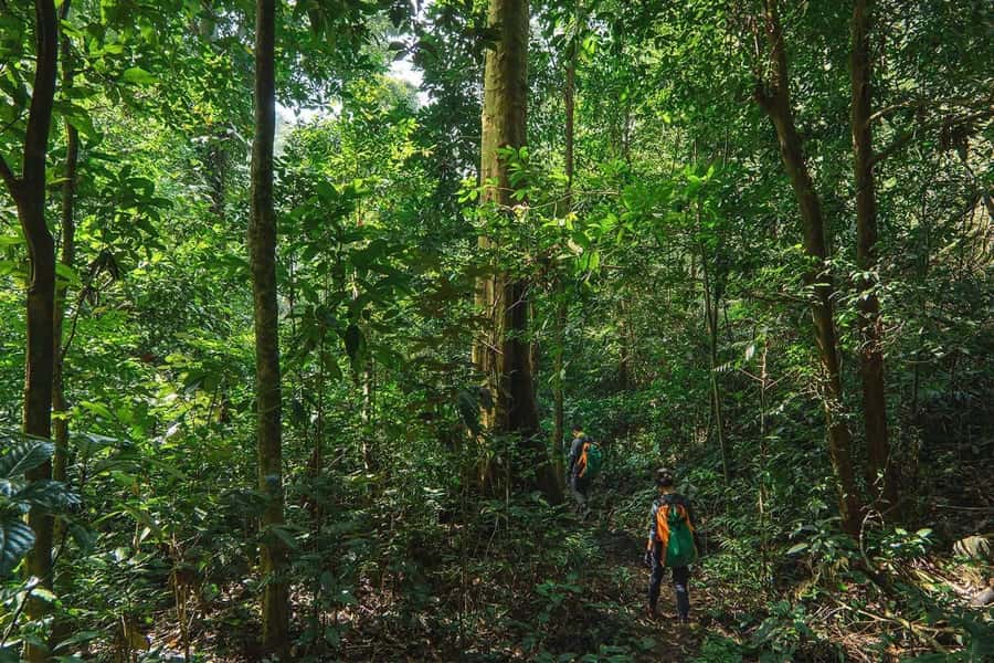 Munduk: Twin Lakes Jungle Hike with Lake Canoe and Waterfall - Banyumala Twin Waterfalls: swim first, then soak in the moment