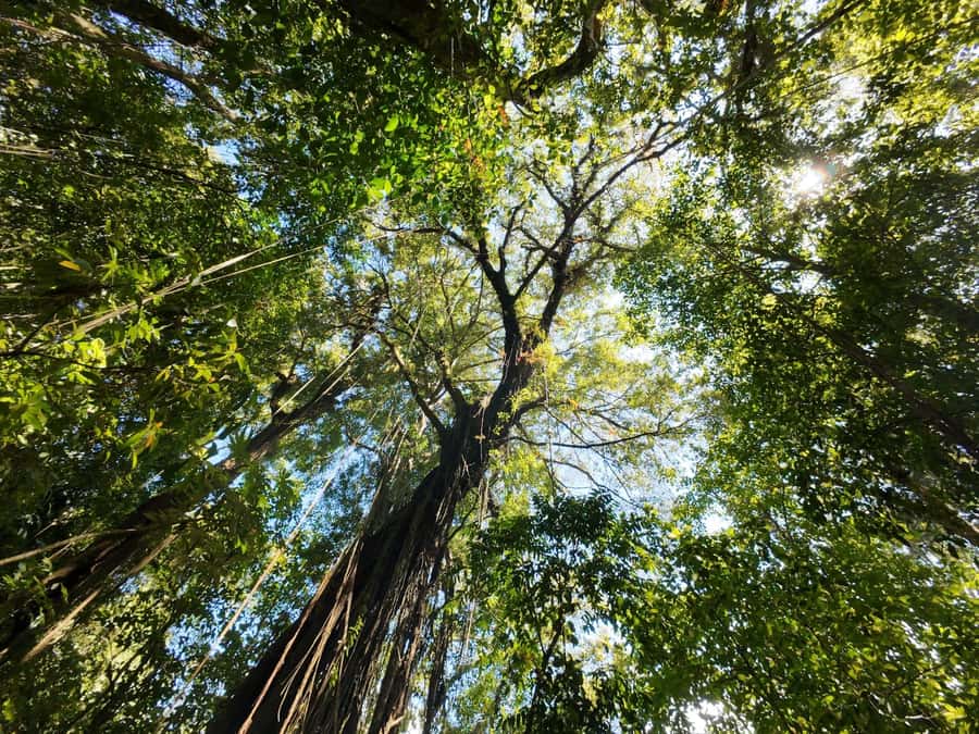 Munduk: Twin Lakes Jungle Hike with Lake Canoe and Waterfall - What to pack and the fitness check you should not skip