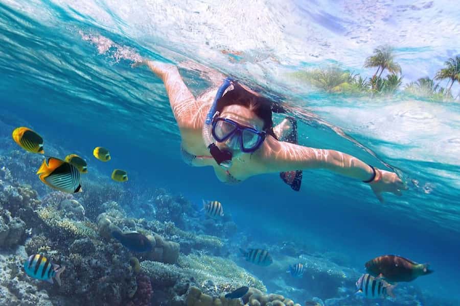 North Bali: Dolphin, Ulun Danu Temple, & Banyumala Waterfall - Banyumala Waterfall: swimming, photos, and the short walk
