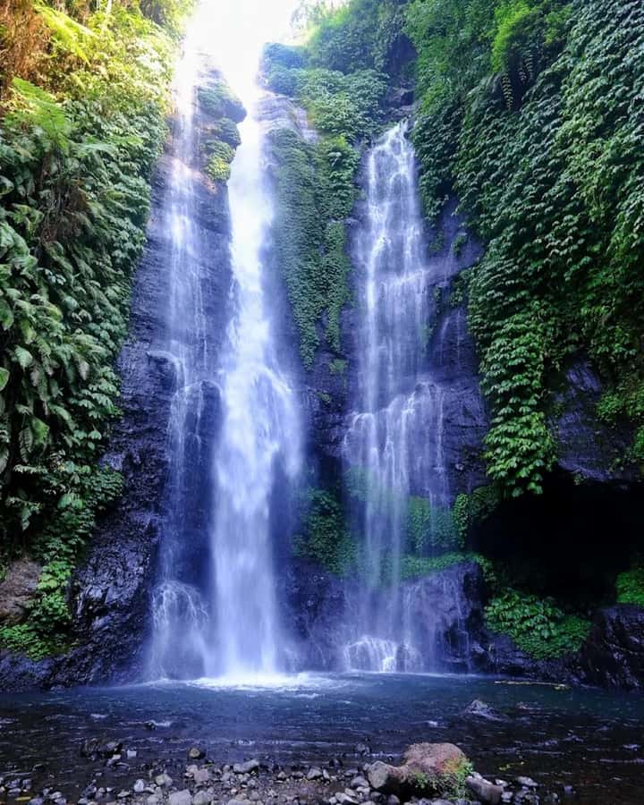 North Bali: Explore Munduk Waterfall Trekking Experience - Key Points You’ll Care About