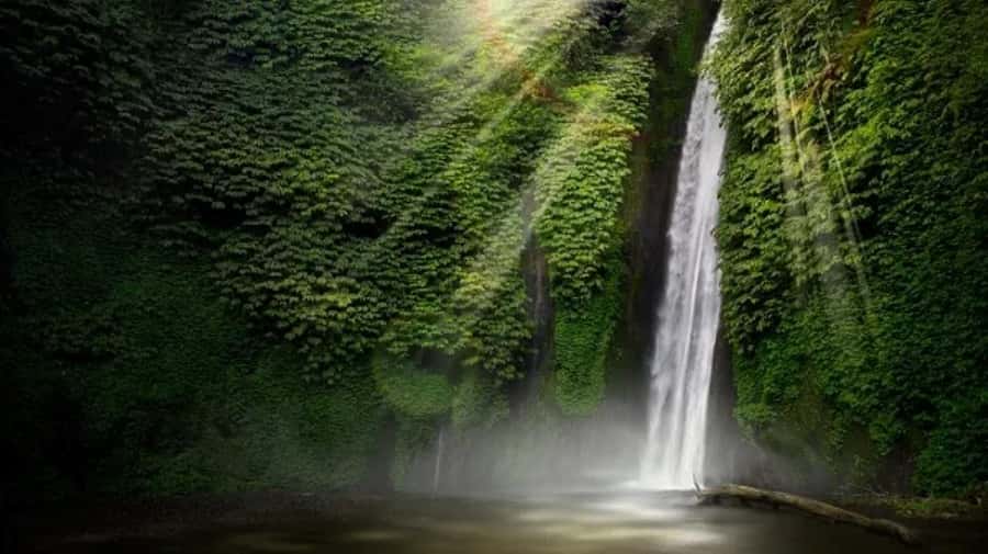 North Bali: Explore Munduk Waterfall Trekking Experience - The Clove, Vanilla, and Coffee Path: More Than Just Pretty Views