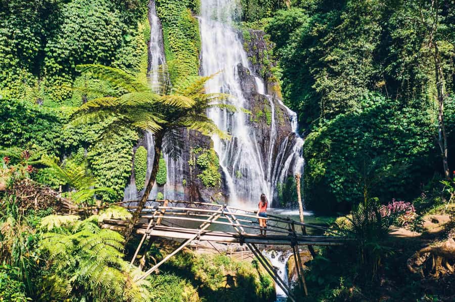 North Bali: Full-day Highlights Instagram Tour - Banyumala Waterfall in Munduk: The Trek Moment You’ll Remember