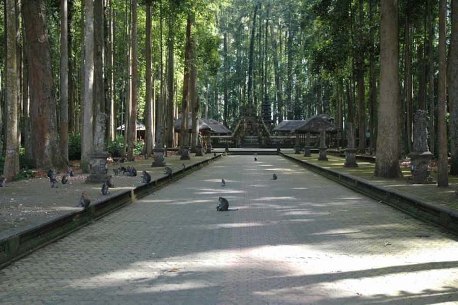 North Bali: Monkey Forest -Waterfall- Rice Terrace-Ulun Danu - Key Points at a Glance