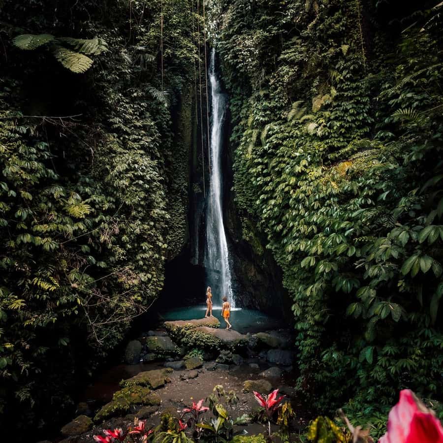 North Bali: Monkey Forest -Waterfall- Rice Terrace-Ulun Danu - Sangeh Monkey Forest: Macaques First, Then the Photos
