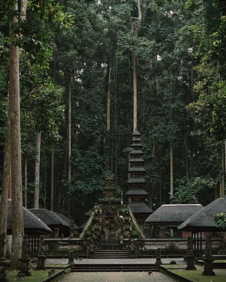 North Bali: Monkey Forest -Waterfall- Rice Terrace-Ulun Danu - Jatiluwih Rice Terraces UNESCO: More Than Just a View