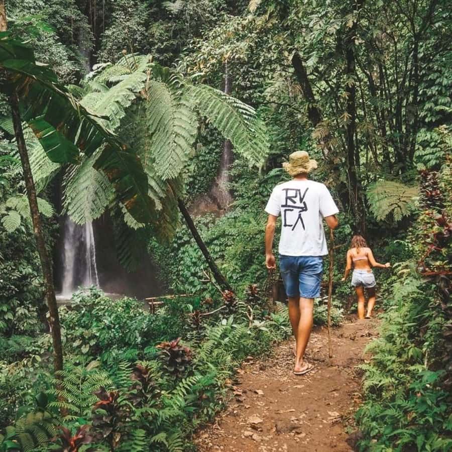 North Bali: Monkey Forest -Waterfall- Rice Terrace-Ulun Danu - Pickup, Transport, and Why the Ride Matters