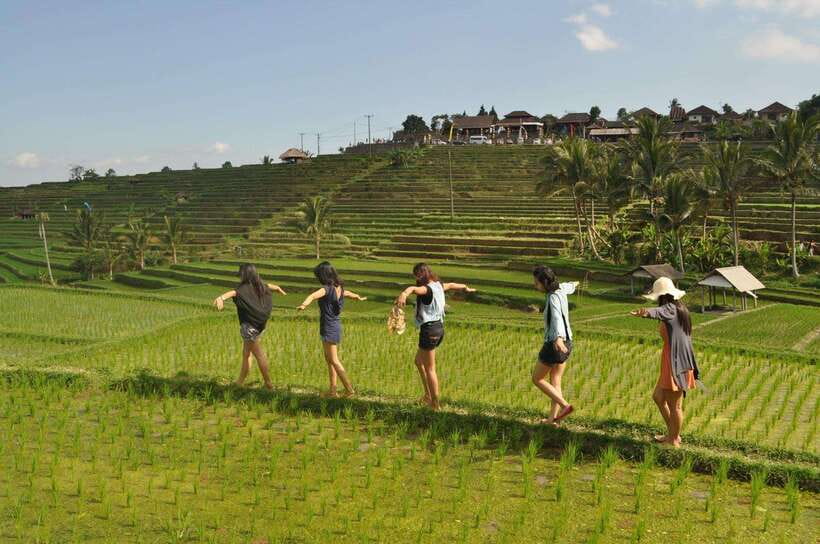 North Bali: Private Day Tour with Banyumala Waterfall - Guides and Drivers: The Real Difference Maker