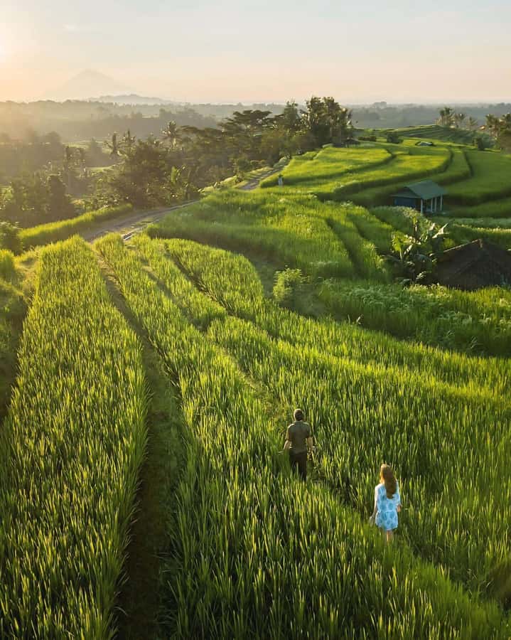 North Bali: Sekumpul and Banyumala Waterfalls & Rice Terrace - Banyumala Waterfalls: twin falls, calmer valley, and a refreshing reset