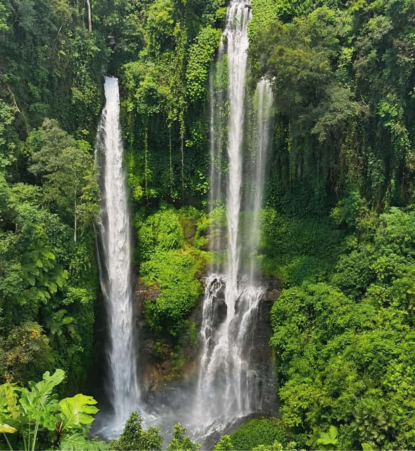 North Bali: Sekumpul and Banyumala Waterfalls & Rice Terrace - Pickup, timing, and why that 7:00 AM matters
