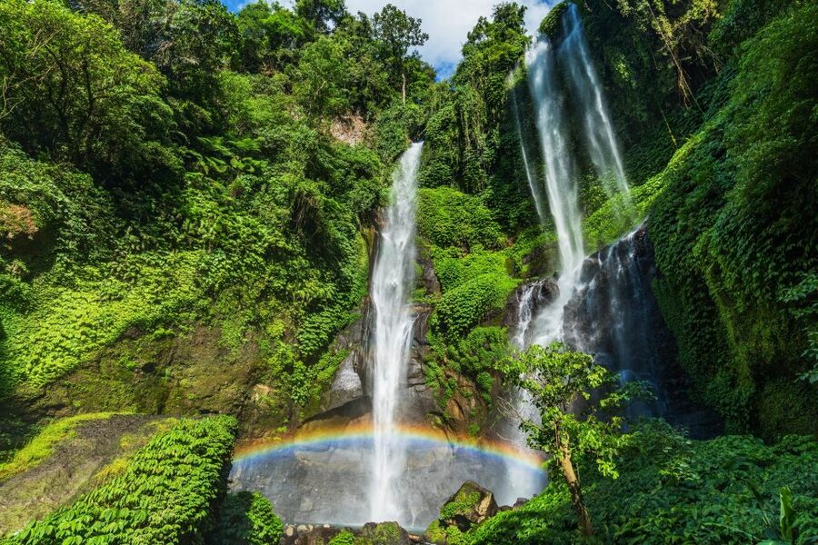 North Bali: Sekumpul Waterfalls and Ulun Danu Temple Tour - Before lunch: Buyan and Tamblingan Twin Lakes for a breathing break