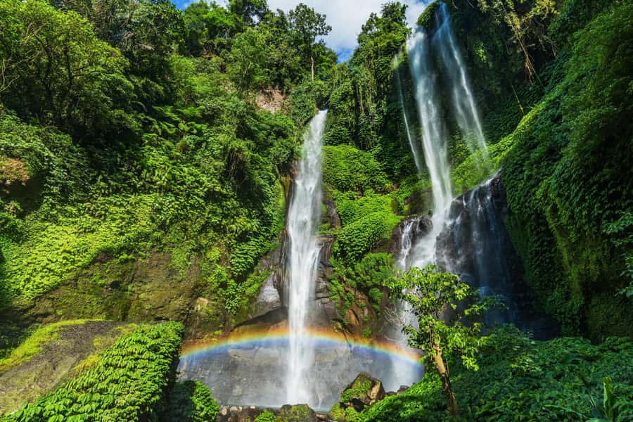 North Bali: Sekumpul Waterfalls and Ulun Danu Temple Tour - Guides, drivers, and why names matter