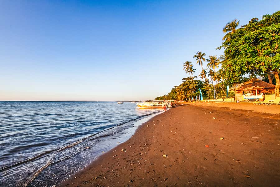 North Bali: Sunrise Tour with Dolphins, Waterfalls & Temples - Price, Value, and What’s Actually Included