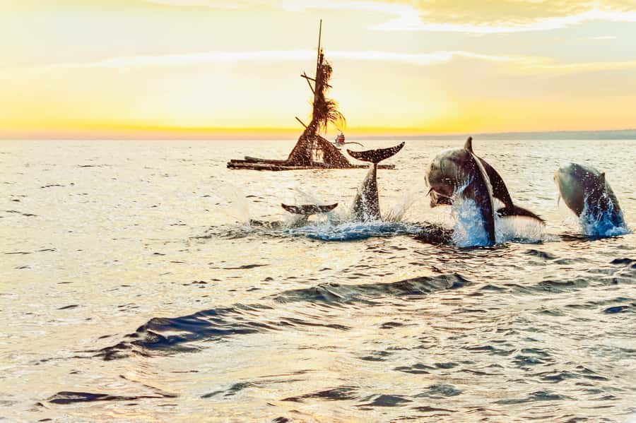 North Bali: Sunrise Tour with Dolphins, Waterfalls & Temples - What to Bring (and How to Avoid Common Dawn-Day Mistakes)