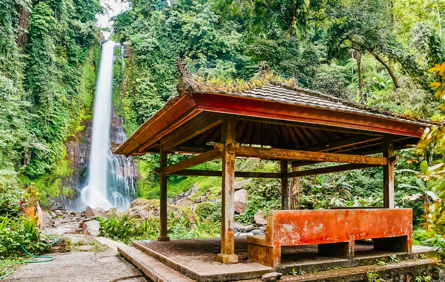 North Bali: Sunrise Tour with Dolphins, Waterfalls & Temples - Who Should Book This Dolphin, Waterfall, and Temple Combo