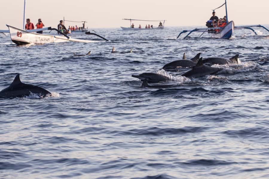 North Bali: Sunrise Tour with Dolphins, Waterfalls & Temples - FAQ