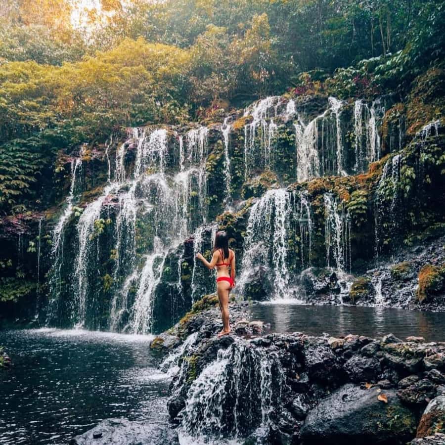 North Bali Trip with 2 Hidden Waterfalls Private Tour - Key Points You Should Know Before You Go