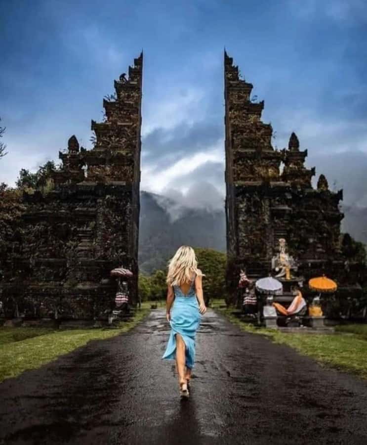 North Bali Trip with 2 Hidden Waterfalls Private Tour - Coffee Luwak Plantation Stop: A Fun Add-On If You Like Food and Stories
