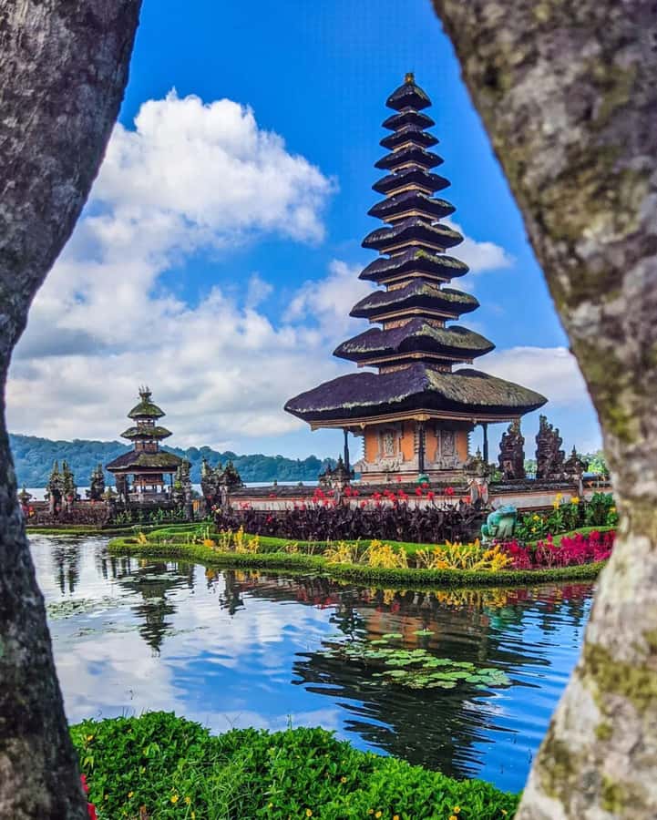 North Bali: Ulun Danu, Waterfalls, Swing and Monkey Forest - Price, Pickup Times, and How to Get Value From the Full Day