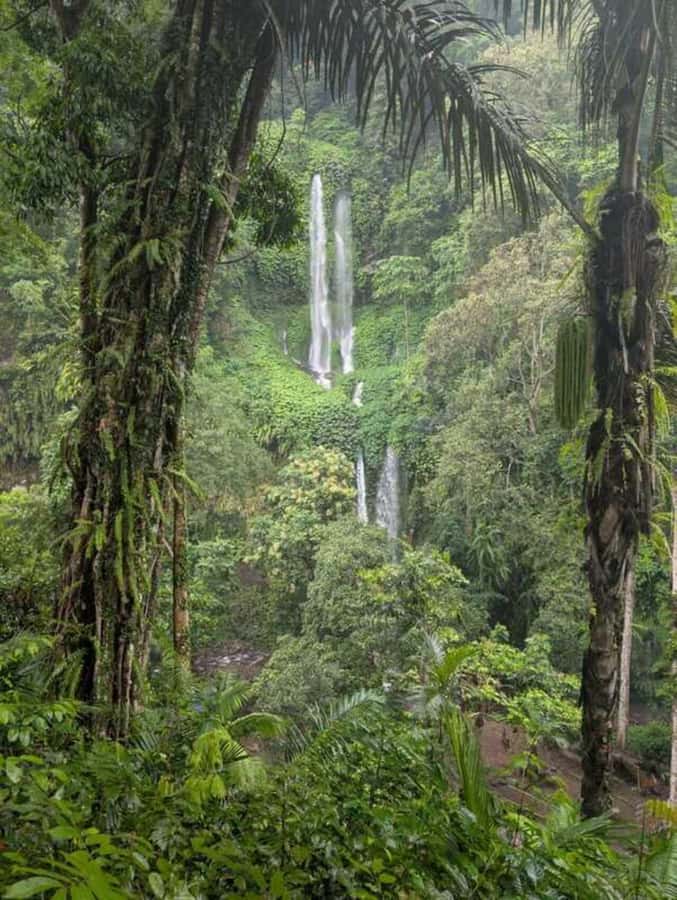 North Lombok : Hidden Gems Waterfalls and Outentic Villages - Price and Value: What $55 Gets You, and What It Doesn’t