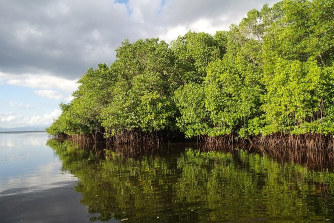 Nusa Lembongan Island: Snorkeling & Mangrove Forest Day Tour - From Your Hotel to the Snorkel and Sights