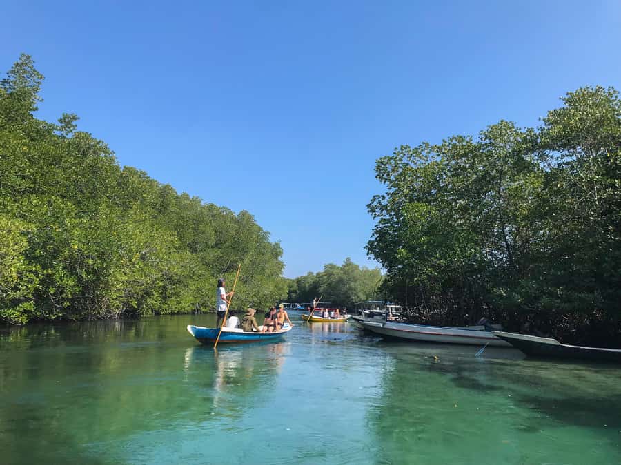 Nusa Lembongan Mangrove & Island Tour - Mangrove Point: Traditional Boat Through the Green Maze