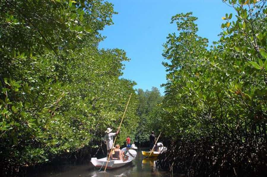 Nusa Lembongan Tour: Island and Mangrove Adventure - Dream Beach: The White Sand Look, and the Real Swim Check