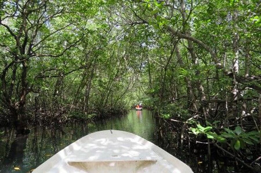 Nusa Lembongan Tour: Island and Mangrove Adventure - Lunch, Snacks, Welcome Drink, and the Inclusions That Matter
