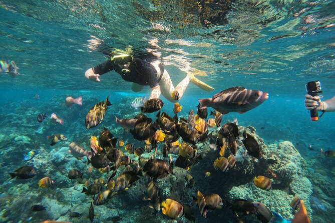 Nusa-Penida customize Tour - All inclusive - Guides and photo help: when it works, it makes the day