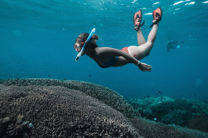 Nusa Penida day trip: boat, 4 snorkeling, Manta rays & Land tour - Fast boat mornings from Sanur, timed to beat the day