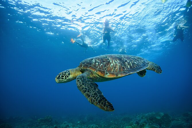 Nusa Penida day trip: boat, 4 snorkeling, Manta rays & Land tour - Lunch with an infinity pool vibe on Nusa Penida