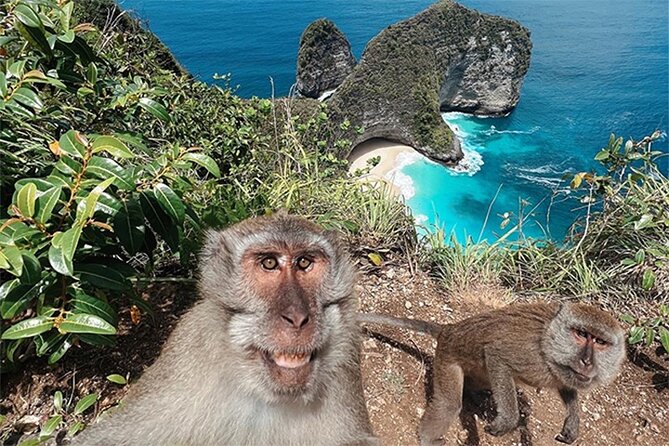 Nusa Penida day trip: boat, 4 snorkeling, Manta rays & Land tour - Price value at $78, plus the small costs to watch for