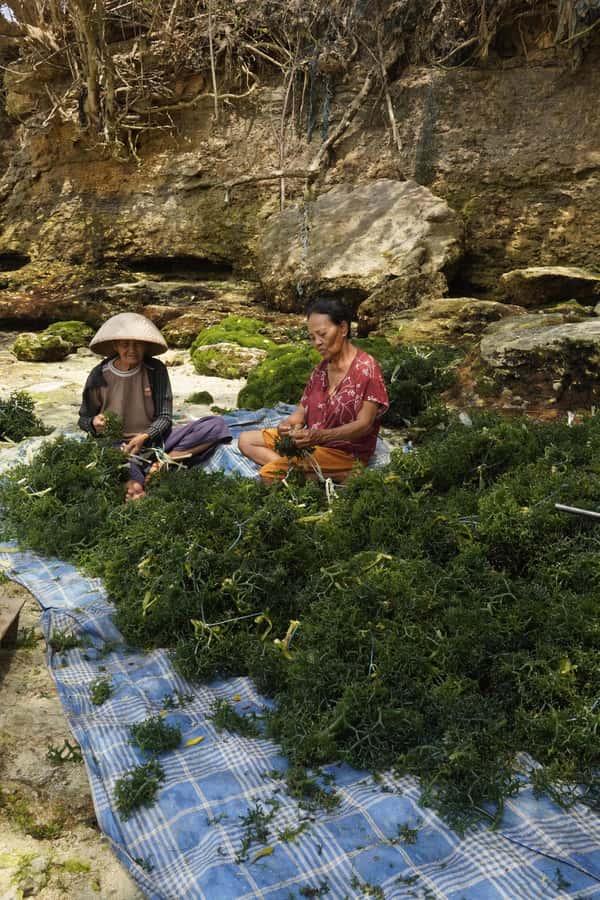 Nusa Penida: Ecotourism, Seaweed Farming & East Tour - Atuh Beach: dramatic views with an eco-minded pace
