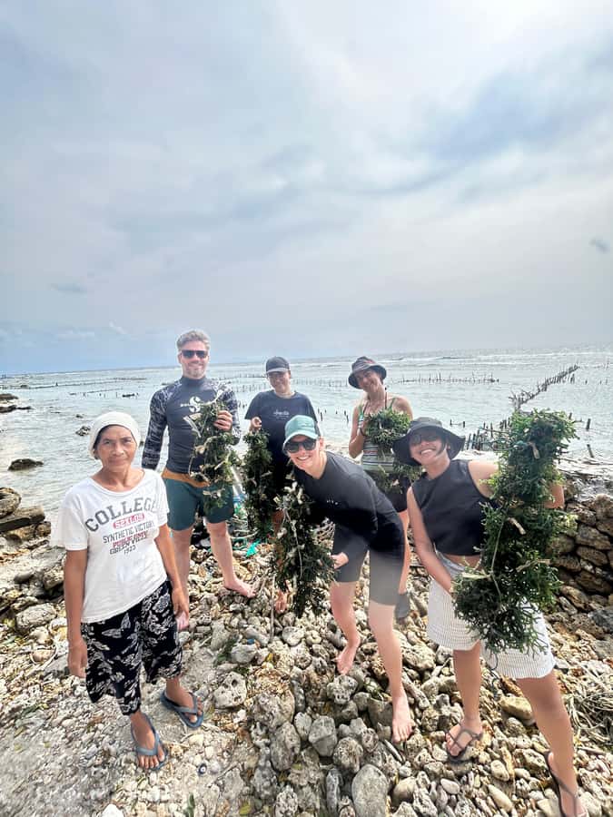 Nusa Penida: Ecotourism, Seaweed Farming & East Tour - The Treehouse stop: a quick, photogenic cultural waypoint