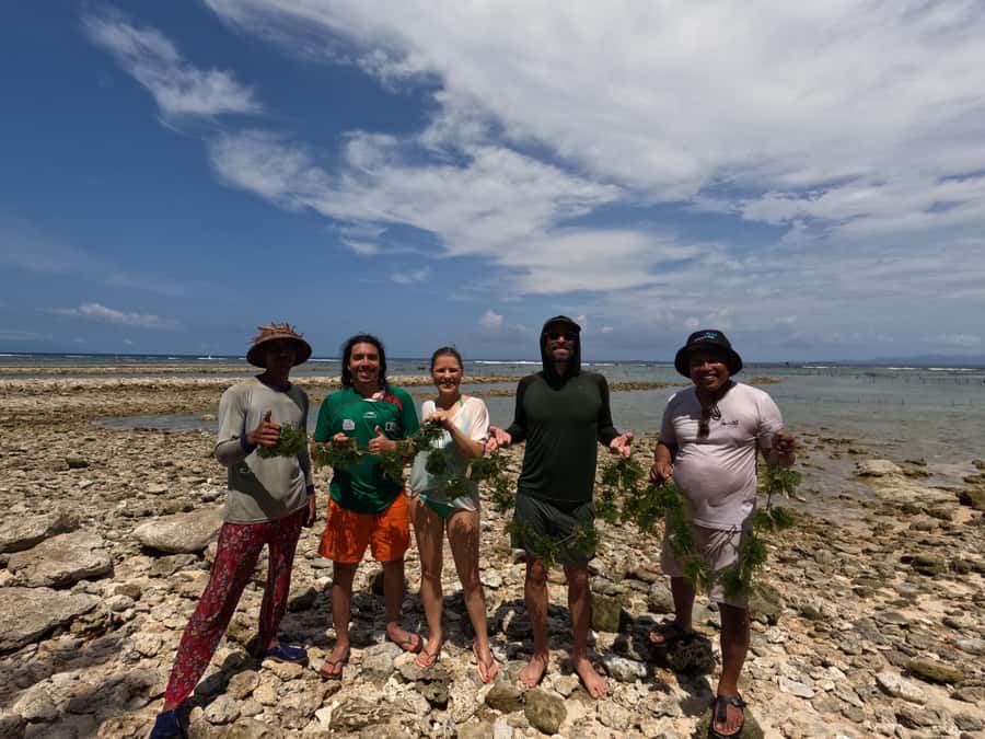 Nusa Penida: Ecotourism, Seaweed Farming & East Tour - What’s included, and why that price makes sense