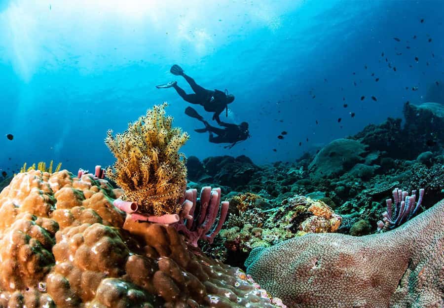 Nusa Penida: Full-Day Guided Snorkeling & Island Tour - A 10-hour Nusa Penida Day That Starts With Sanur