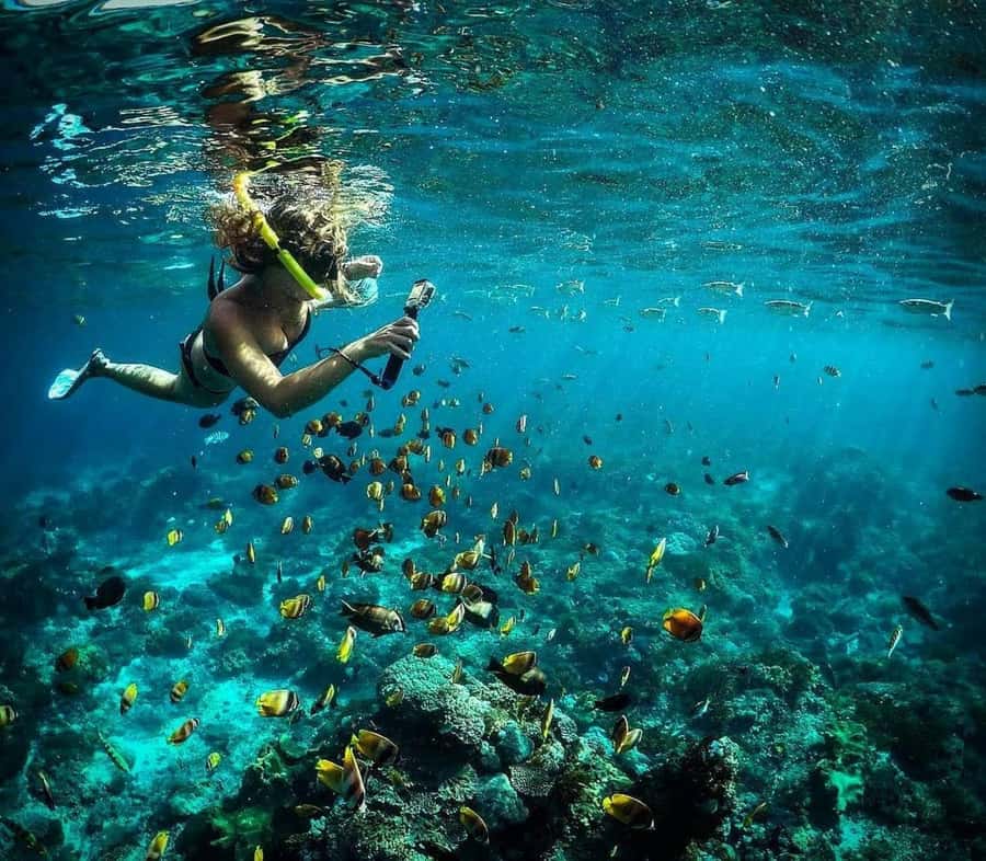 Nusa Penida: Full-Day Guided Snorkeling & Island Tour - Kelingking Beach, The Cliff View That Becomes the Photo Habit