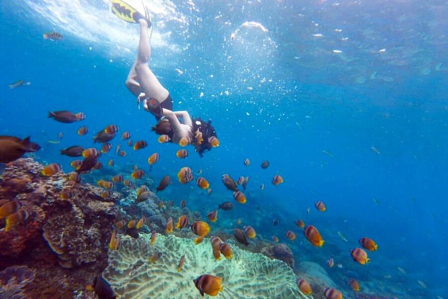 Nusa Penida: Full-Day Guided Snorkeling & Island Tour - Angel’s Billabong, A Rock Formation With a Natural Pool Feel