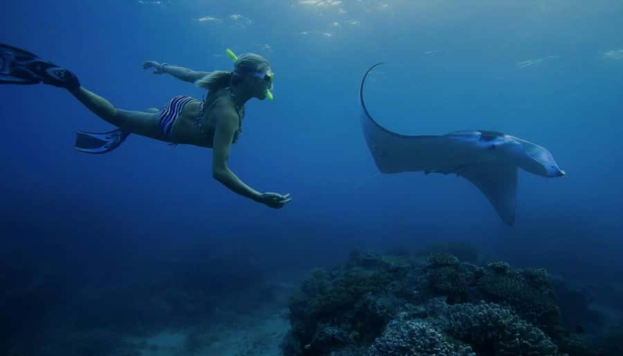Nusa Penida: Full Day Private Snorkeling With Manta Ray - Manta Bay is the moment, but your mindset matters