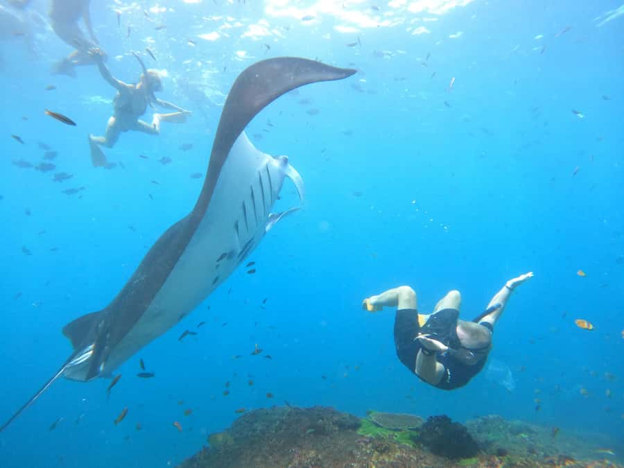 Nusa Penida: Full Day Private Snorkeling With Manta Ray - Equipment on board: what you get for your money