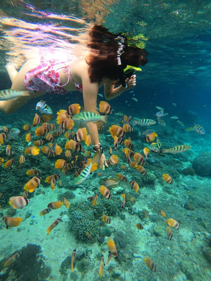 Nusa Penida: Full Day Private Snorkeling With Manta Ray - Price and value: why $64 can make sense