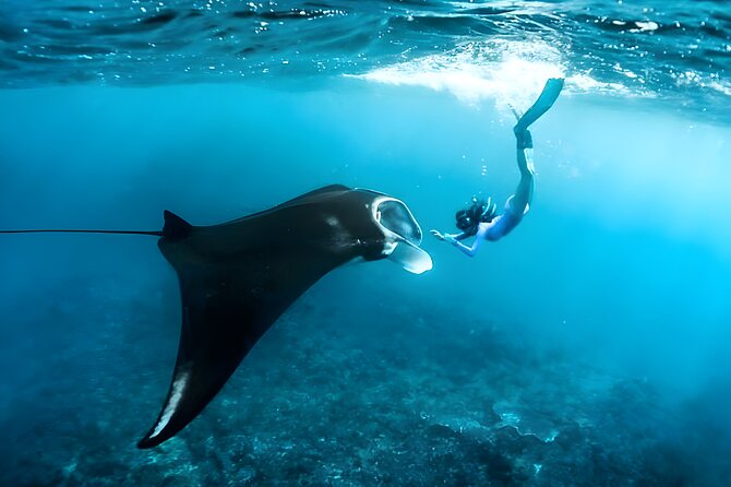 Nusa Penida Island Beach Tour With Snorkeling - Departure From Bali Island - Key highlights at a glance
