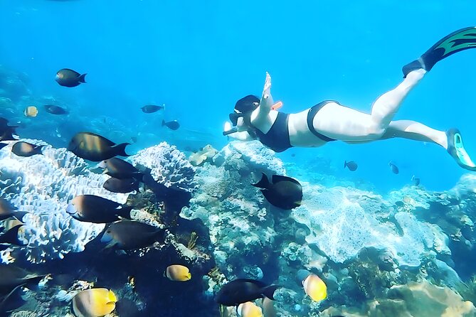 Nusa Penida Island Beach Tour With Snorkeling - Departure From Bali Island - Snorkeling setup: guide, gear, and what each bay is for