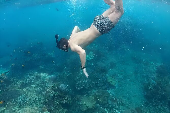 Nusa Penida Island Beach Tour With Snorkeling - Departure From Bali Island - The Kelingking Beach viewpoint, and the low-tide descent choice