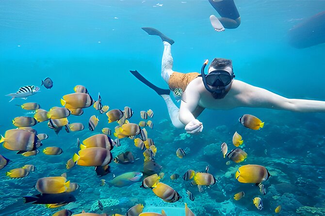 Nusa Penida Island Beach Tour With Snorkeling - Departure From Bali Island - Lunch, refreshments, and what to pack for a 12-hour day