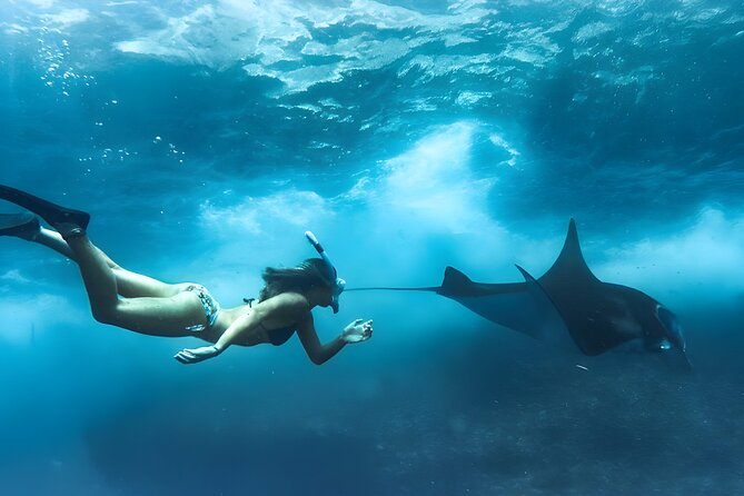 Nusa Penida Island Beach Tours with Snorkeling From Bali - Key highlights to know before you go